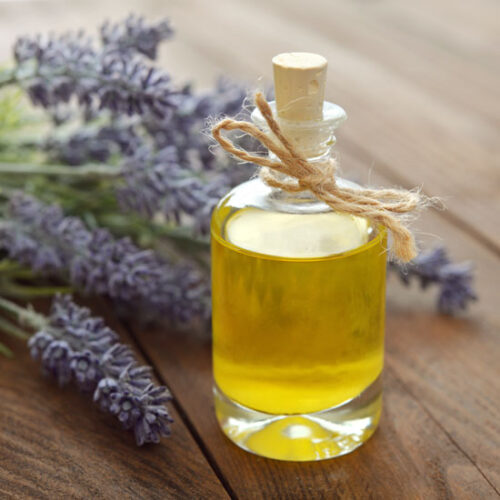 Homemade Salves for Every Household: Same-Day Dried Herb Oil Method